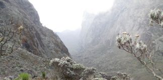 Mount Rwenzori