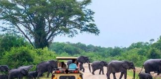 Uganda Tourism