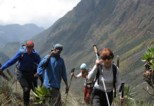 Hiking Rwenzori mountains