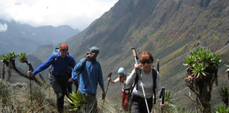 Hiking Rwenzori mountains