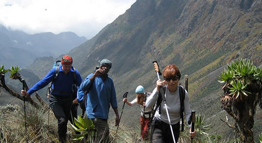 Hiking Rwenzori mountains