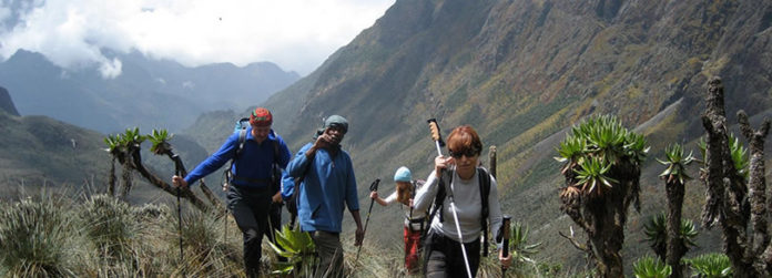 Hiking Rwenzori mountains