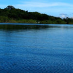 Uganda’s Lakes and Rivers lake victoria