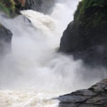 Murchison falls