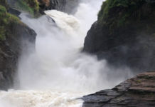 Murchison falls