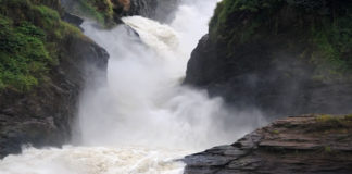 Murchison falls