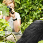 Trekking Gorillas
