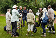 Uganda gorilla tours