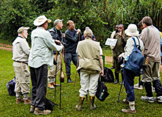 Uganda gorilla tours