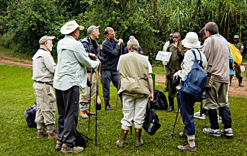 Uganda gorilla tours