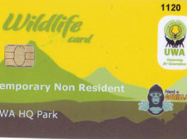 bwindi-gorilla-permit-uganda