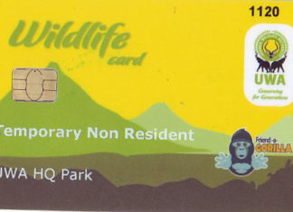 bwindi-gorilla-permit-uganda