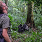 How is Gorilla Trekking a lifetime Expereince