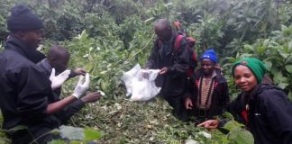 Virunga massif