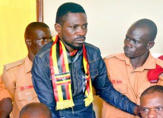 Bobi Wine Granted Bail