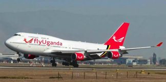 Flying Safaris to Bwindi