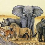 Uganda’s big five game