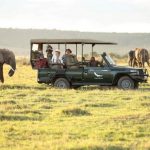 Tourism industry ravaged by coronavirus