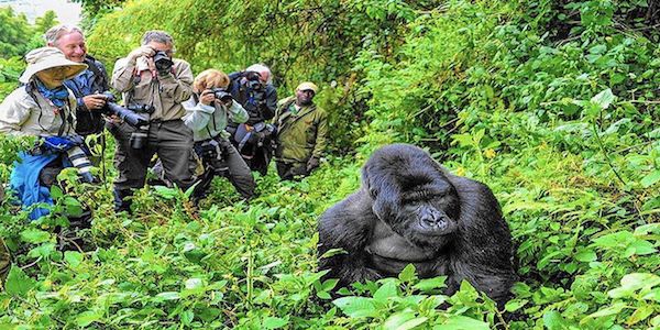 what to do and see in uganda