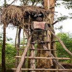 Batwa-high-nest