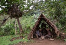 Batwa pygmies of Uganda