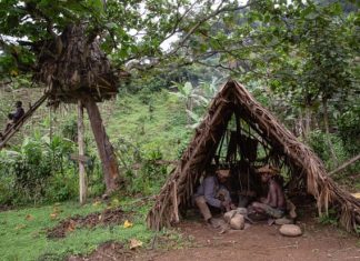 An insight into the life of Batwa pygmies of Uganda Batwa pygmies of Uganda
