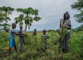 land problems in uganda