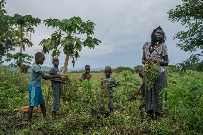 land problems in uganda