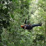 Zip-Lining-mabira-forest-uganda