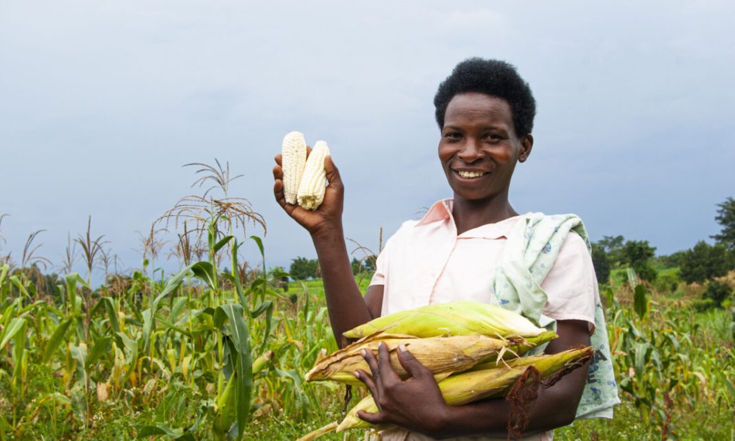 What are the most profitable business ventures in Uganda? My Uganda