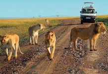 uganda national parks