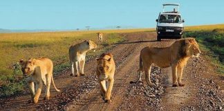 uganda national parks