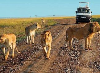 uganda national parks