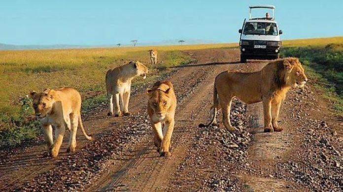 uganda national parks