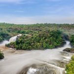 Murchison-falls-national-park