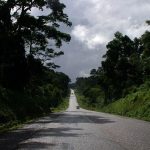 Mabira central forest reserve