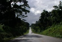 Mabira central forest reserve