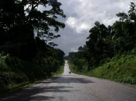 Mabira central forest reserve