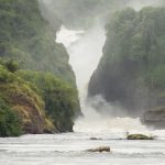 Northern Uganda Tour