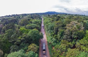Mabira central forest reserve