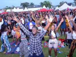 blankets and wine