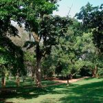 Entebbe botanical gardens