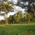 Entebbe botanical gardens