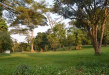 Botanical gardens