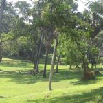 botanical gardens