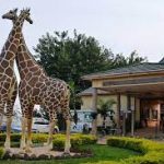 Uganda Wildlife Education Center