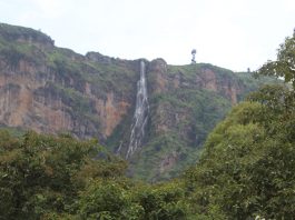 wanale ridge