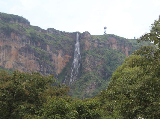 wanale ridge