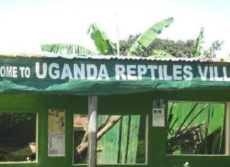Uganda Reptile Village