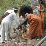 cultural practices